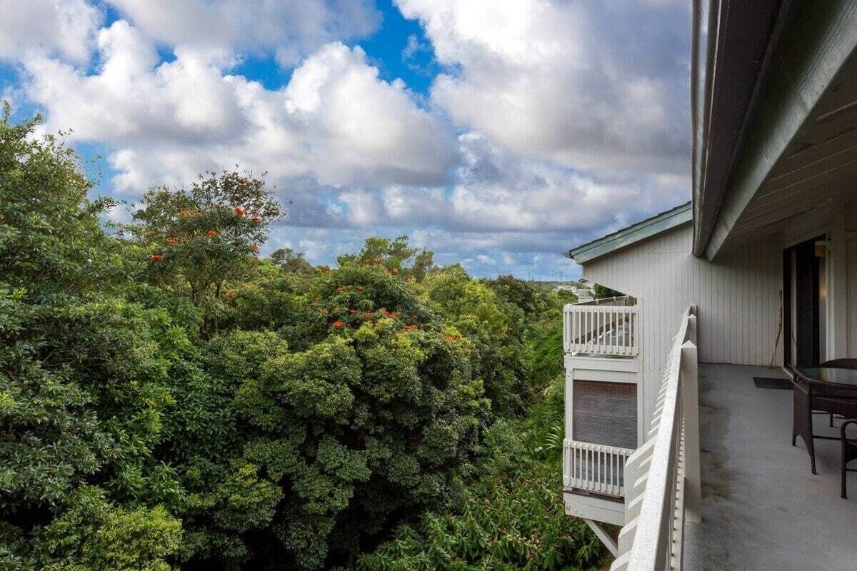 Terrain de l’hébergement 