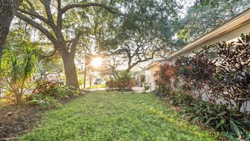 Área da propriedade