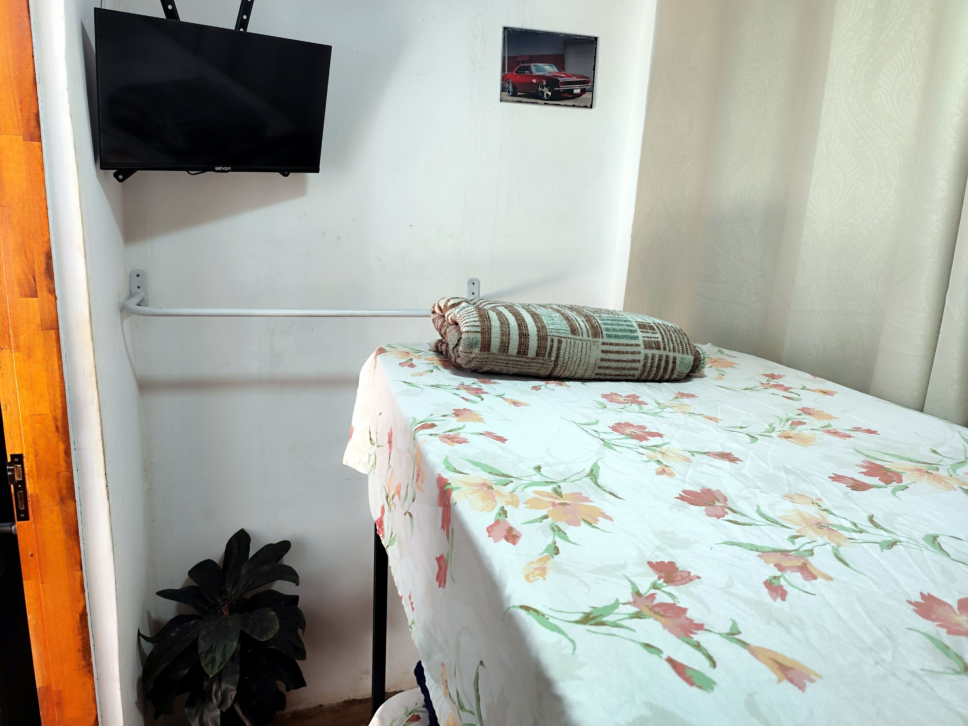 A small room with a bed, a TV mounted on the wall, a small picture, and a plant.