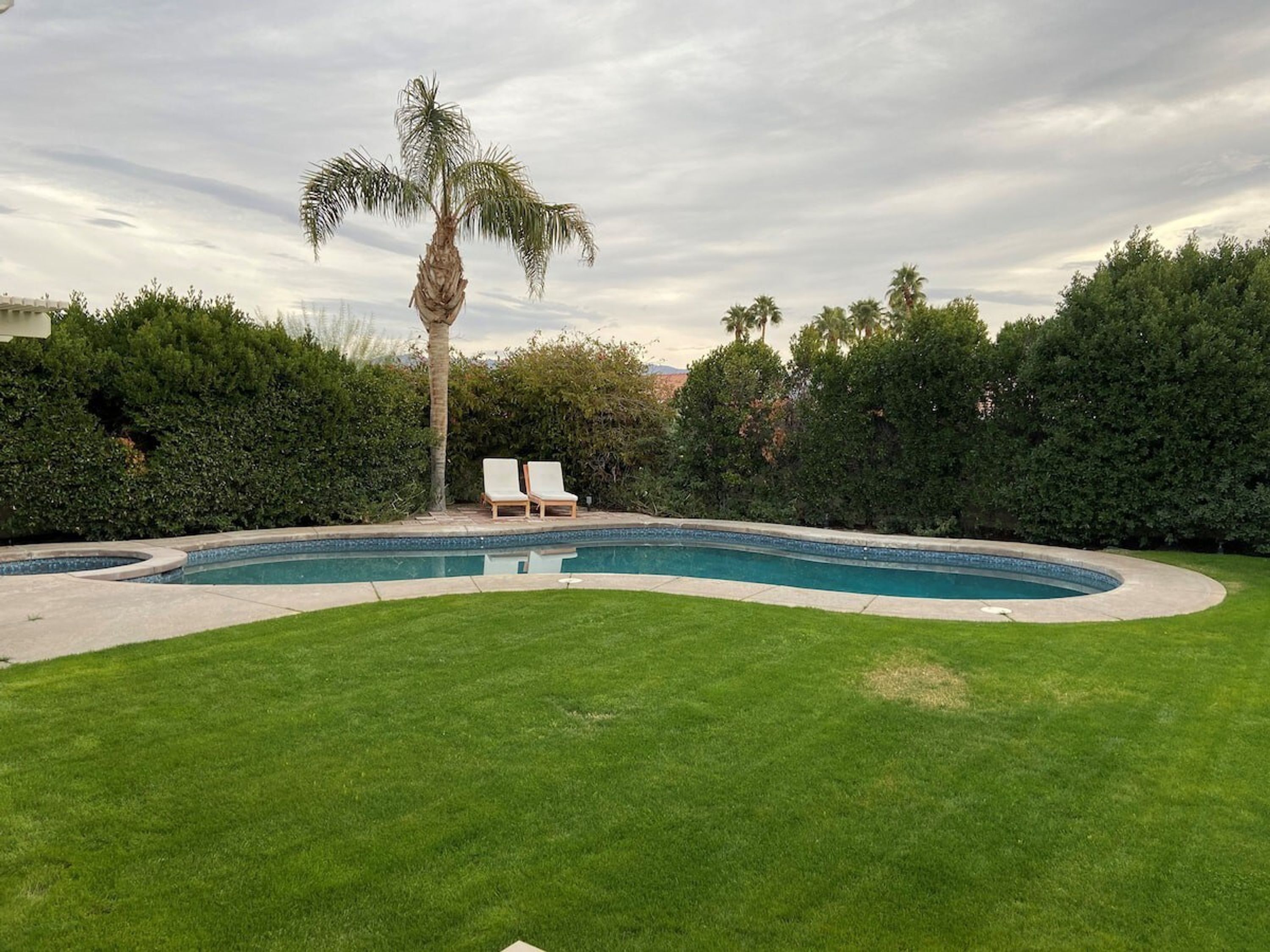 A swimming pool with a curved edge, surrounded by a well-maintained lawn and a variety of trees.