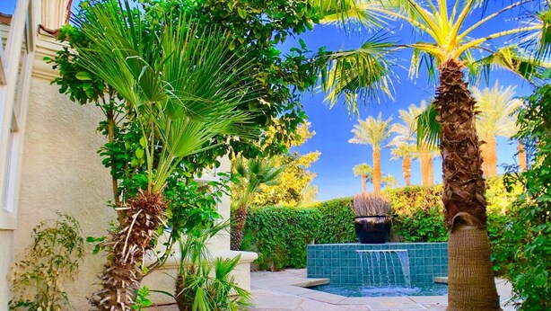 A courtyard with a stone pathway, a small pool, and various tropical plants.