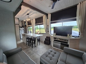 TV, fireplace