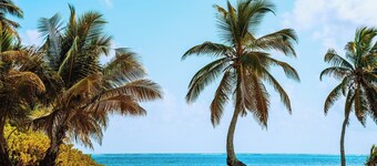 Queen-size bed, with a private bathroom, a walk-in shower and closet.