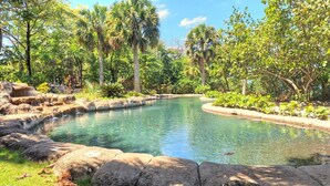 A clear pool surrounded by rocks and lush greenery.