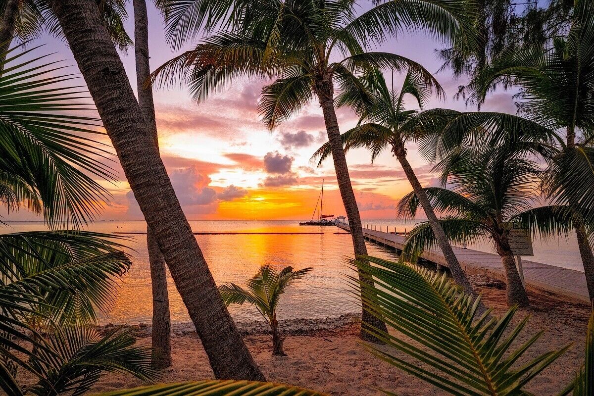 A beach scene with palm trees and a sunset.
