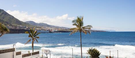 Apartment, Smoking | 1 bedroom