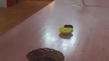 Casa, fumadores | 5 dormitorios