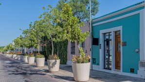A street lined with large potted plants and a row of buildings with teal and white facades. - Luxury Casita Calle 47 Gastronomic Corridor (Mérida)