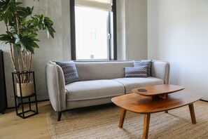 1 habitación y acceso a internet 