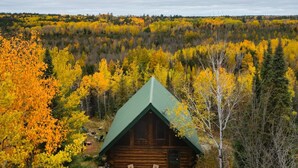 A log cabin with a green roof, surrounded by a forest with autumn foliage. - Ely Log Cabin - Off Grid+Solar+WiFi - 40 acres to roam (Ely)