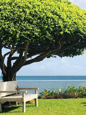 3 bedrooms - Le Ficus Iti - Belle Villa Bord de mer et Piscine (Paea)