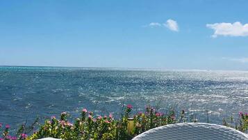 Villa, Smoking | 3 bedrooms