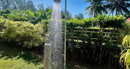 Fare Kale Tiahura in Moorea-maiao