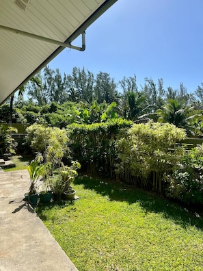 House | 1 bedroom
