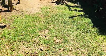 Le Ficus Grande Villa Bord de mer Avec Piscine