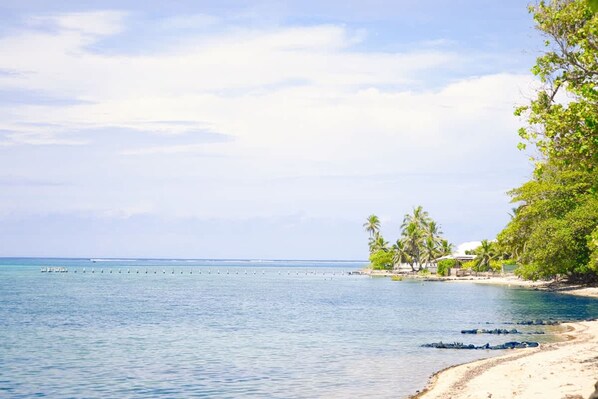 House | 3 bedrooms - Vasion Moorea Entre Lagon et Plages de r ve (Moorea-Maiao)