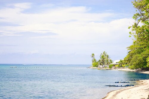 Vasion Moorea Entre Lagon et Plages de r ve