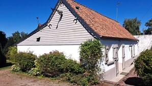 Eksteriør