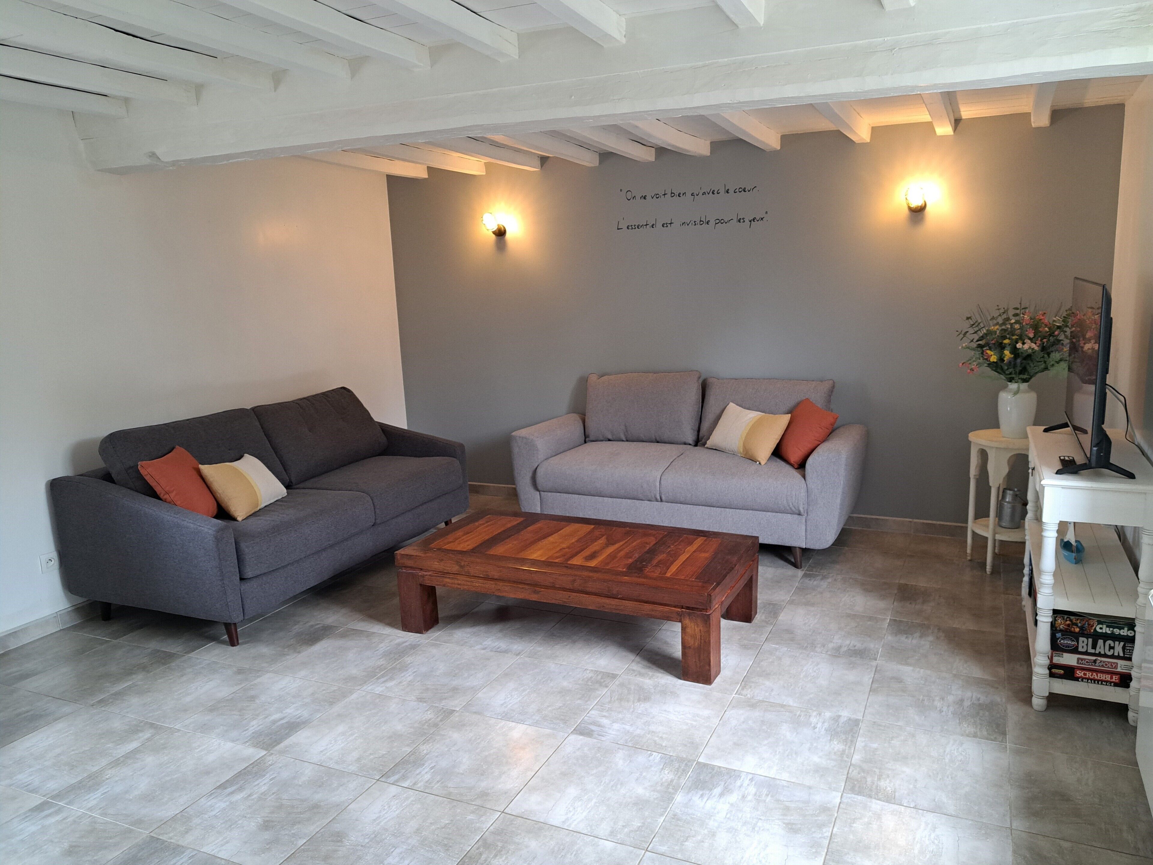 智能電視、書籍