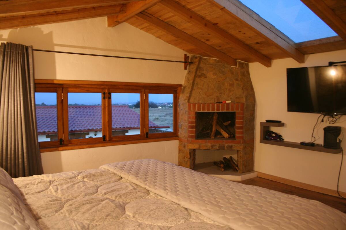 Un dormitorio con una cama grande, una chimenea de piedra, un televisor montado en la pared y una ventana con vista a un edificio de techos rojos.