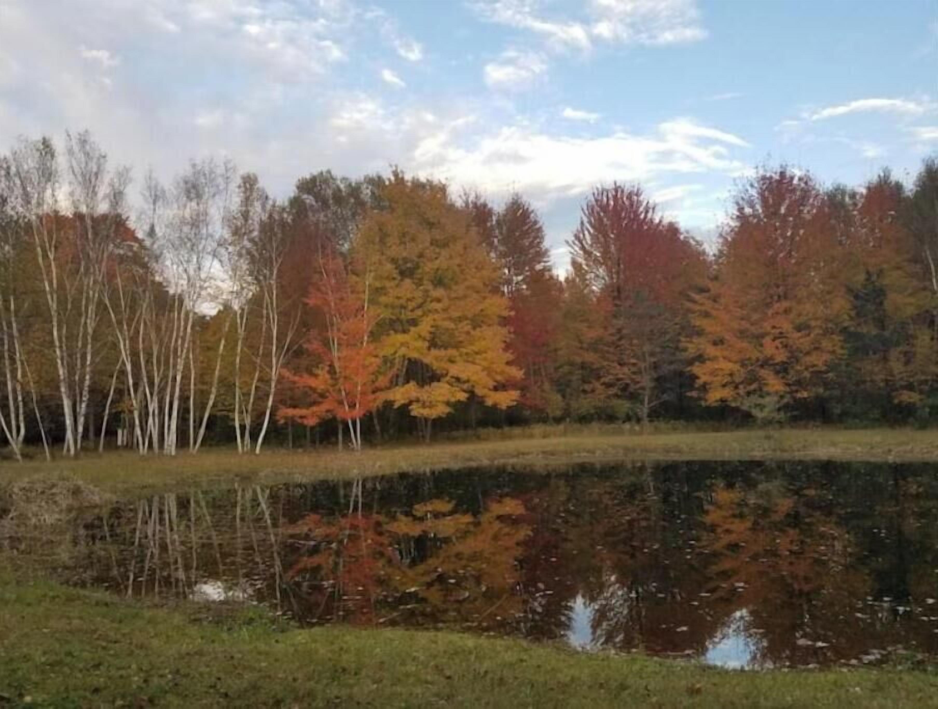 Un lac paisible, entouré d’arbres aux feuilles d’automne.