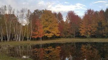 Un lac paisible, entouré d’arbres aux feuilles d’automne.
