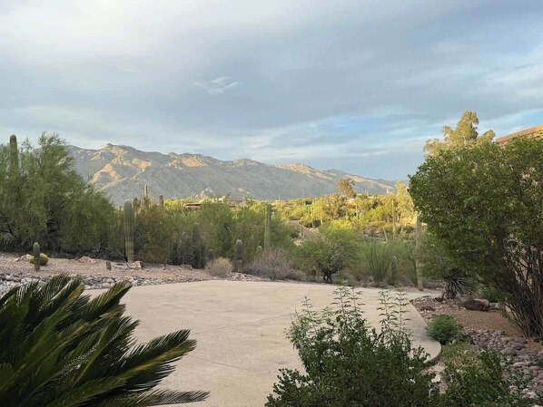 Imagen sin descripción, 1 de 49, botón