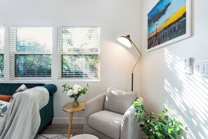 Smart TV, fireplace, books