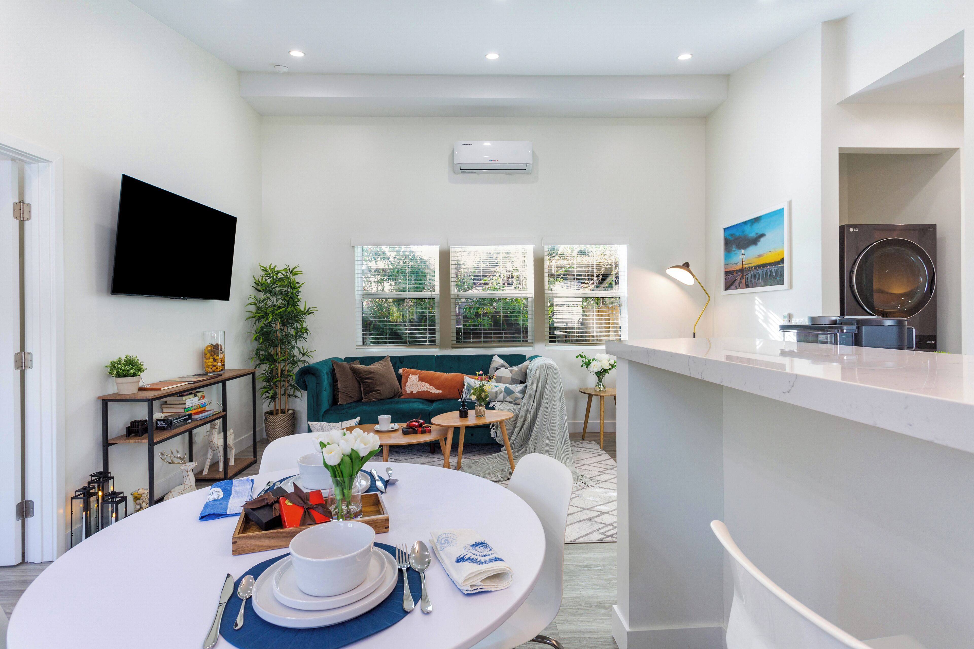 Smart TV, fireplace, books