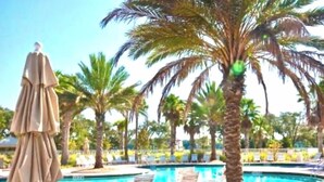 A pool area with lounge chairs and umbrellas, surrounded by palm trees.