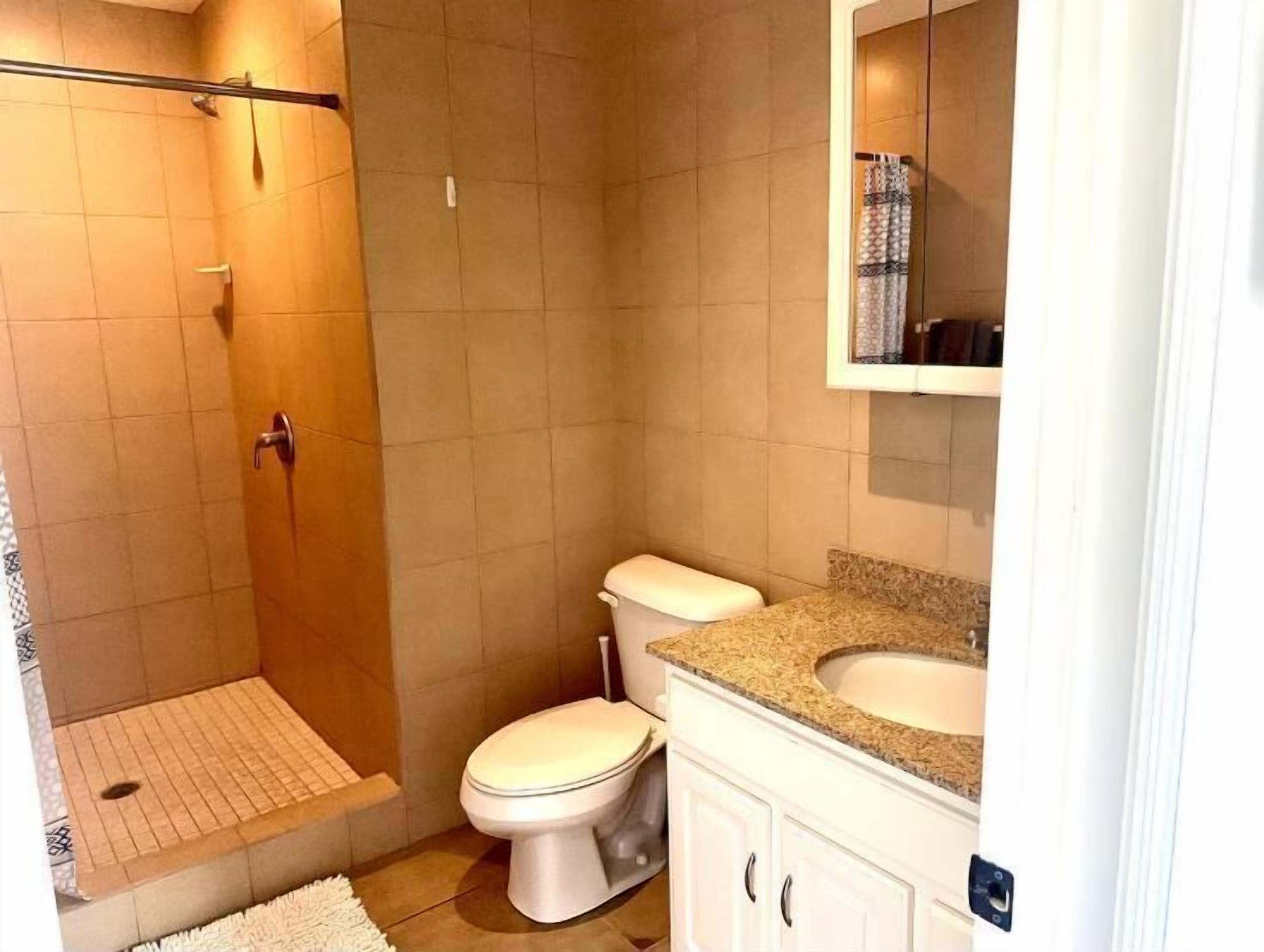 A bathroom with a shower, toilet, and vanity.