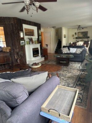 TV, fireplace