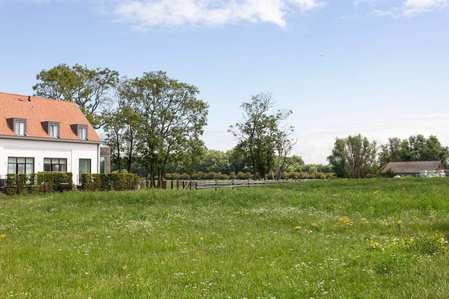 A residential area with a white house, a fenced field, and trees.