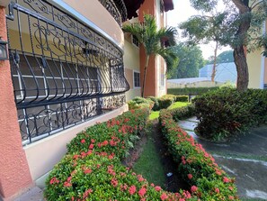 Detalle del exterior