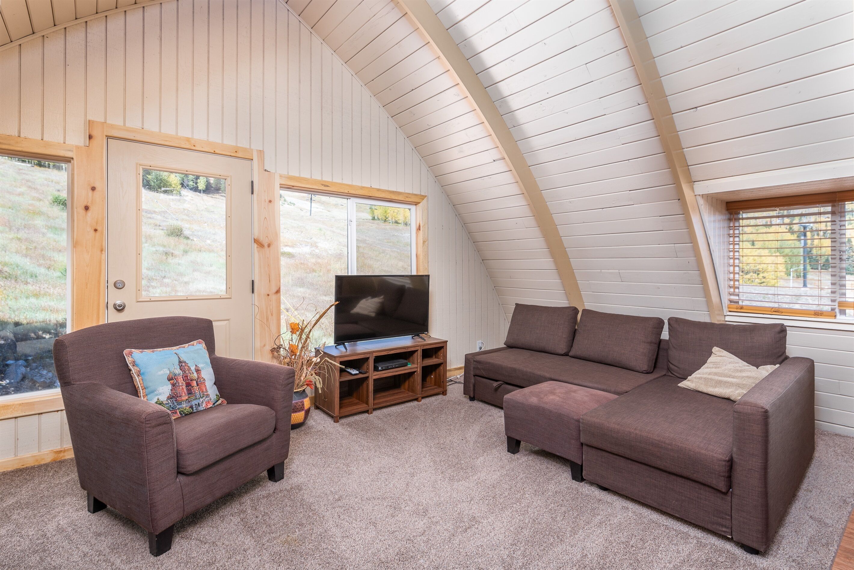 TV, fireplace, DVD player