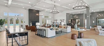 Modern Oasis