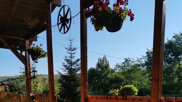 A wooden deck with a table, a plate with a croissant, and a cup of coffee. - Casuta cu Brazi (Seusa)