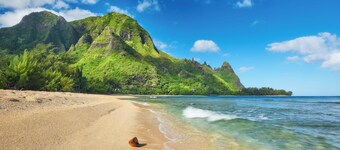 Camp & Drive - 2019 Toyota Tacoma Camper