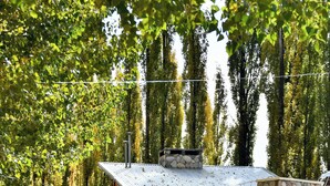 Edifici de fusta rústic amb fonaments de pedra, envoltat de verdura i arbres frondosos.