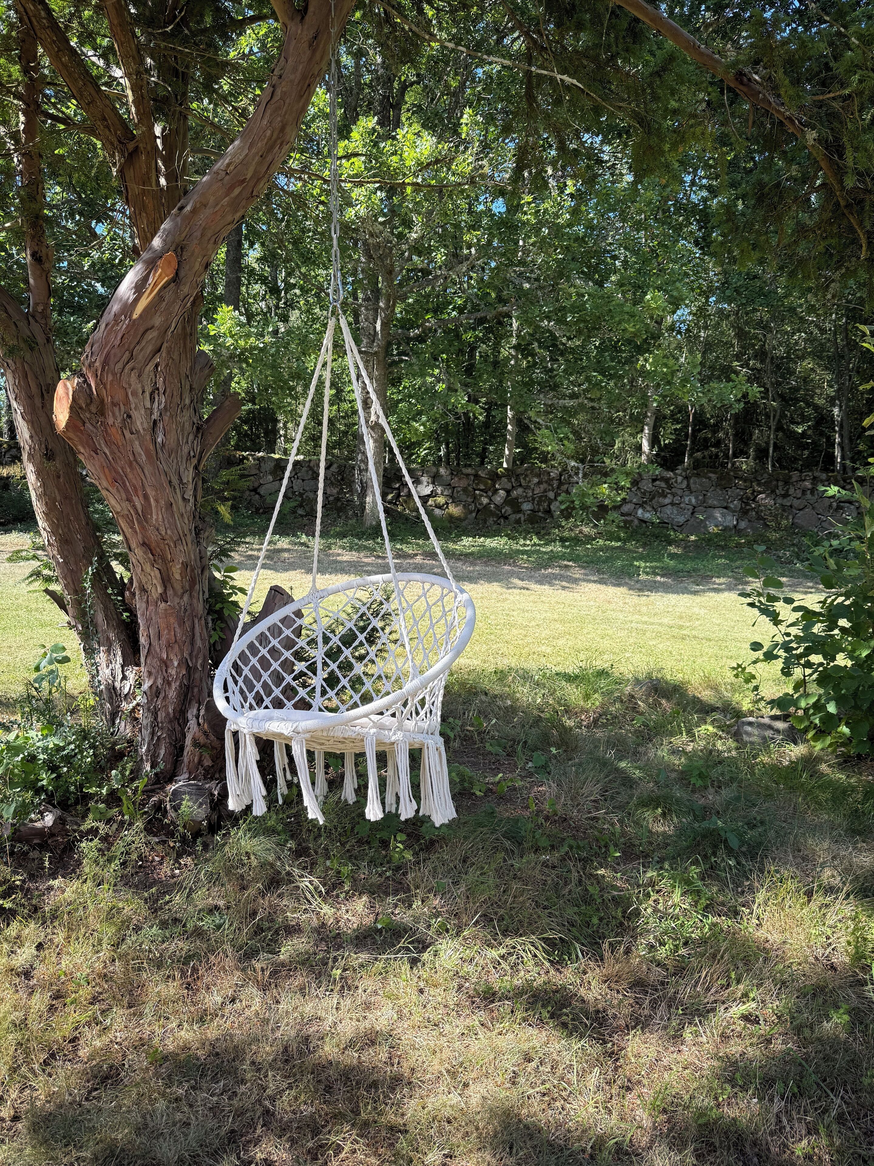 Área da propriedade