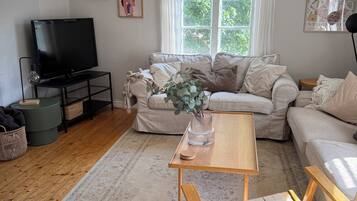 Smart TV, fireplace, books