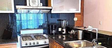 LÀgenhet Deluxe - utsikt mot staden | Eget kök | Stort kylskÄp, mikrovÄgsugn, ugn och spishÀll