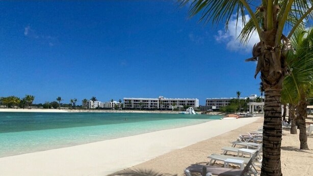 A beach with white lounge chairs and a palm tree.