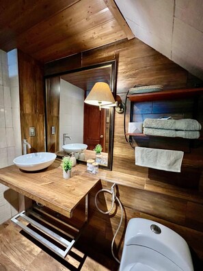Shower, hair dryer, bidet, towels