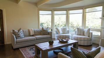 Smart TV, chimenea y libros