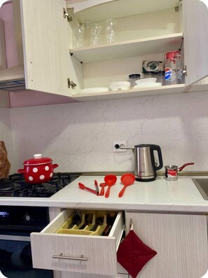 Oven, stovetop, dishwasher