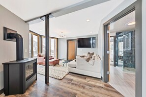 TV, fireplace