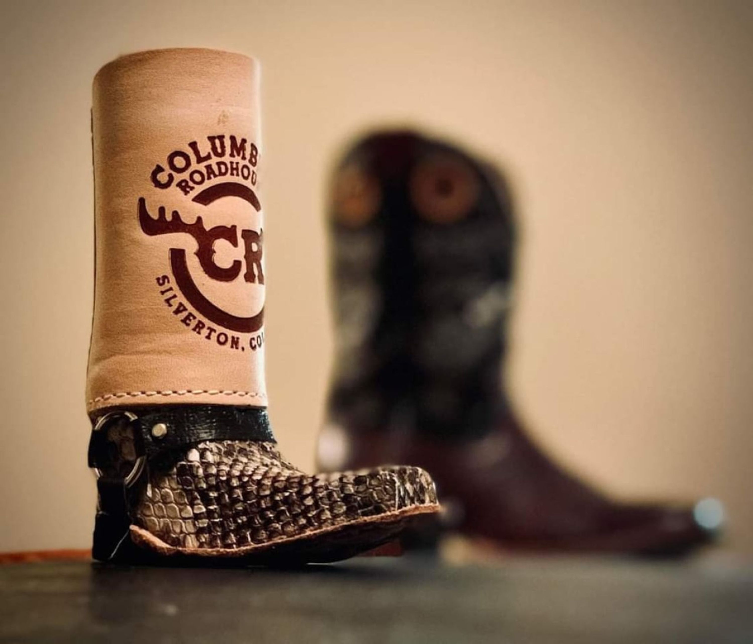 A pair of cowboy boots with a leather boot and a metal shank, and a leather boot with a metal shank.