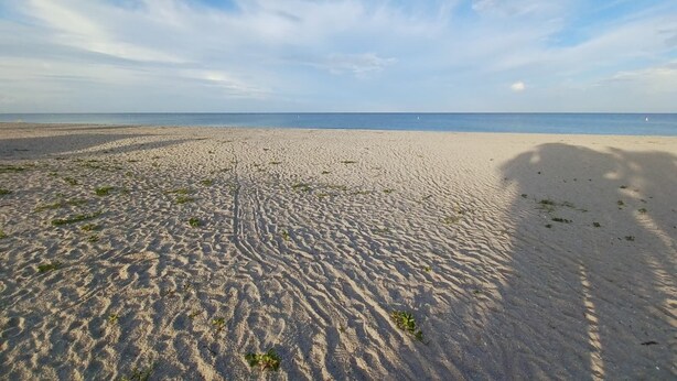 A wide sandy beach with gentle waves in the distance under a clear sky. - 10 min. from the beach, pet-friendly, fenced yard. (Englewood)