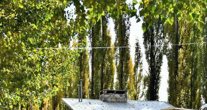 BOSQUE DE SOL CABAÑA 2 located in a forest only 5 minutes from downtown.